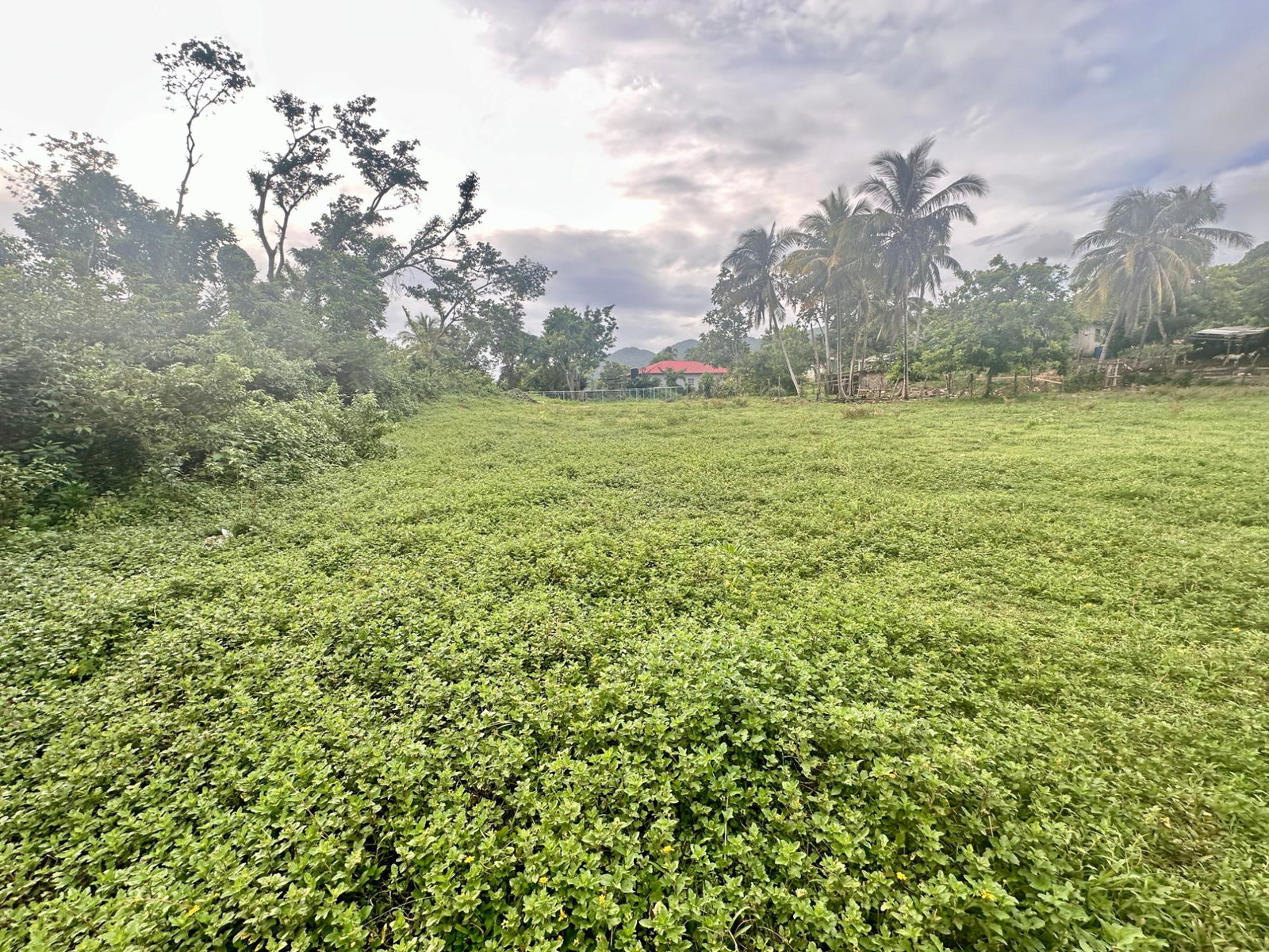 Nineteenth image of 24 Elim, Bogue P.a. in Elim, St. Elizabeth, Jamaica - property is For Sale