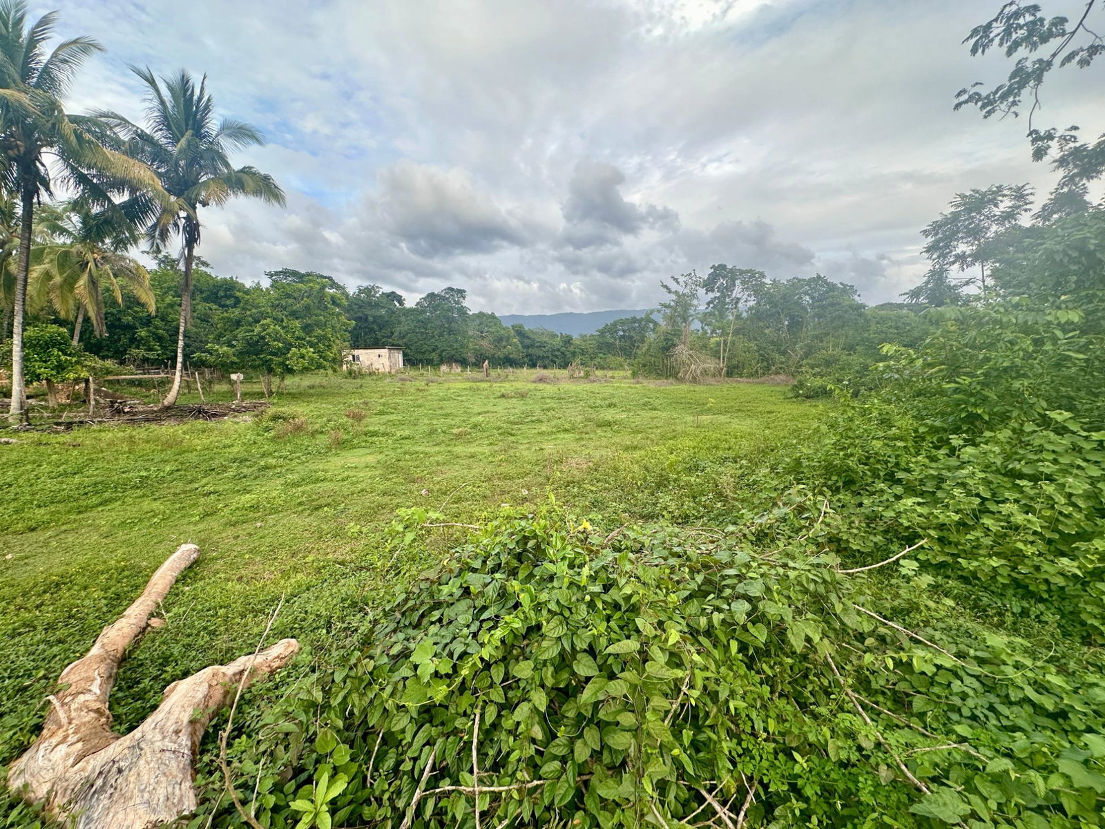 Twentieth image of 24 Elim, Bogue P.a. in Elim, St. Elizabeth, Jamaica - property is For Sale