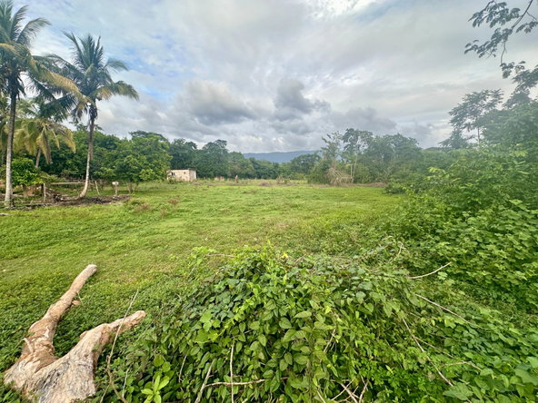 Twentieth image of 24 Elim, Bogue P.a. in Elim, St. Elizabeth, Jamaica - property is For Sale