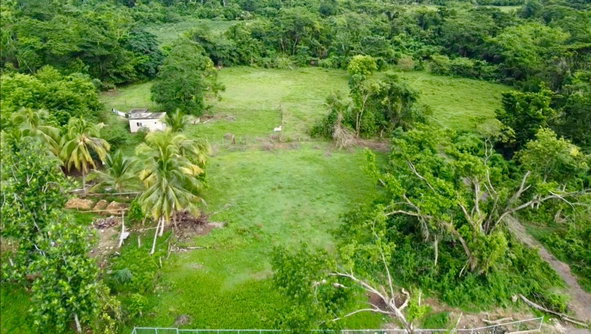 Third image of 24 Elim, Bogue P.a. in Elim, St. Elizabeth, Jamaica - property is For Sale