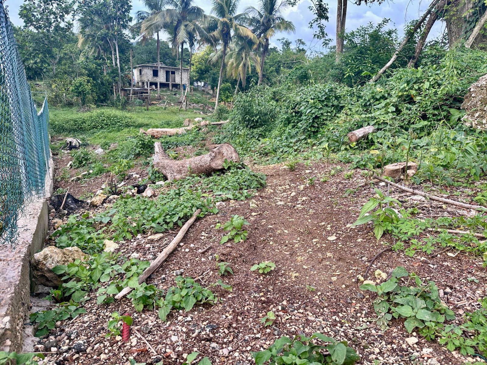 Twenty-Second image of 24 Elim, Bogue P.a. in Elim, St. Elizabeth, Jamaica - property is For Sale