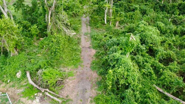 Twenty-Third image of 24 Elim, Bogue P.a. in Elim, St. Elizabeth, Jamaica - property is For Sale
