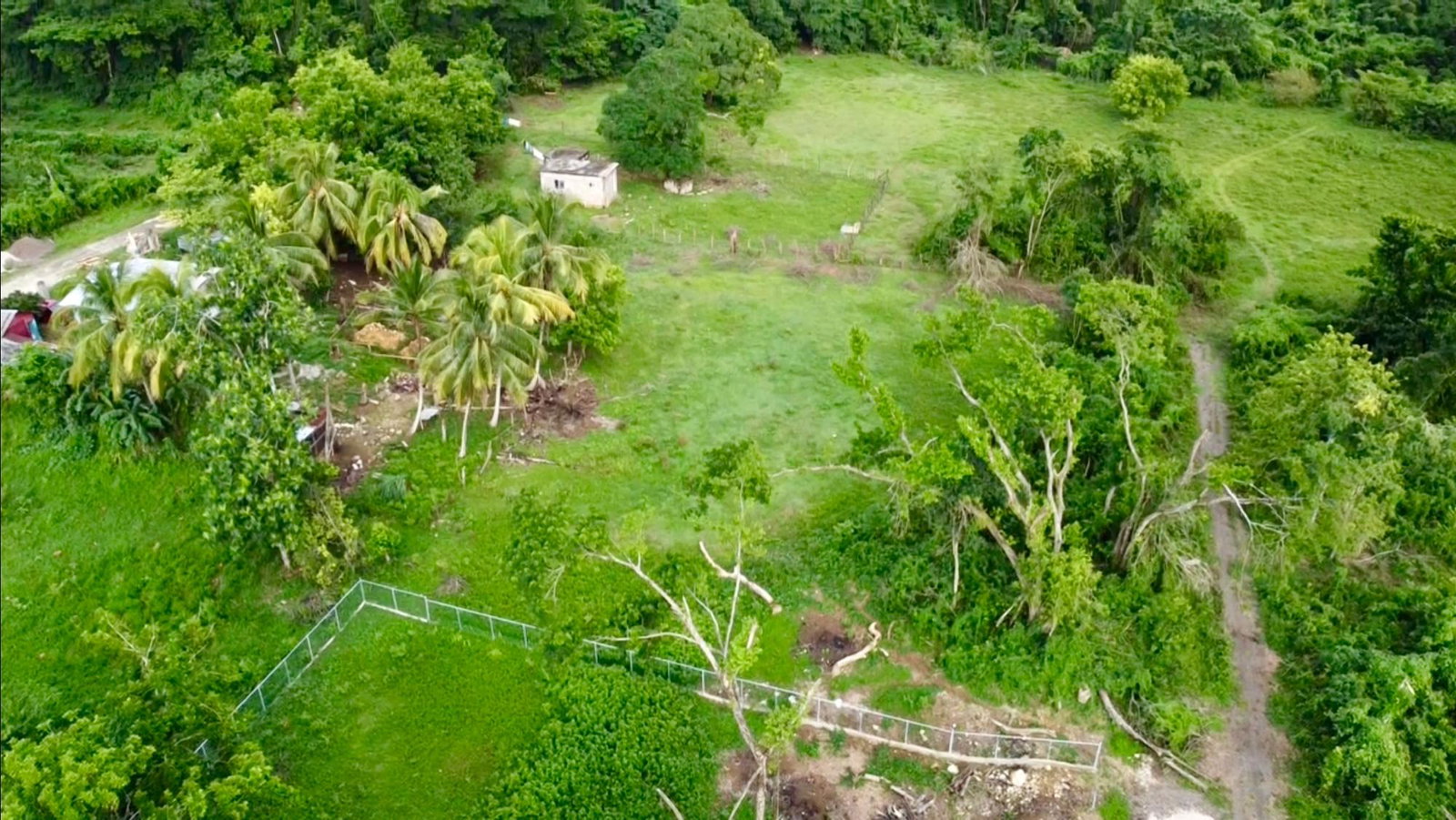 Eighth image of 24 Elim, Bogue P.a. in Elim, St. Elizabeth, Jamaica - property is For Sale