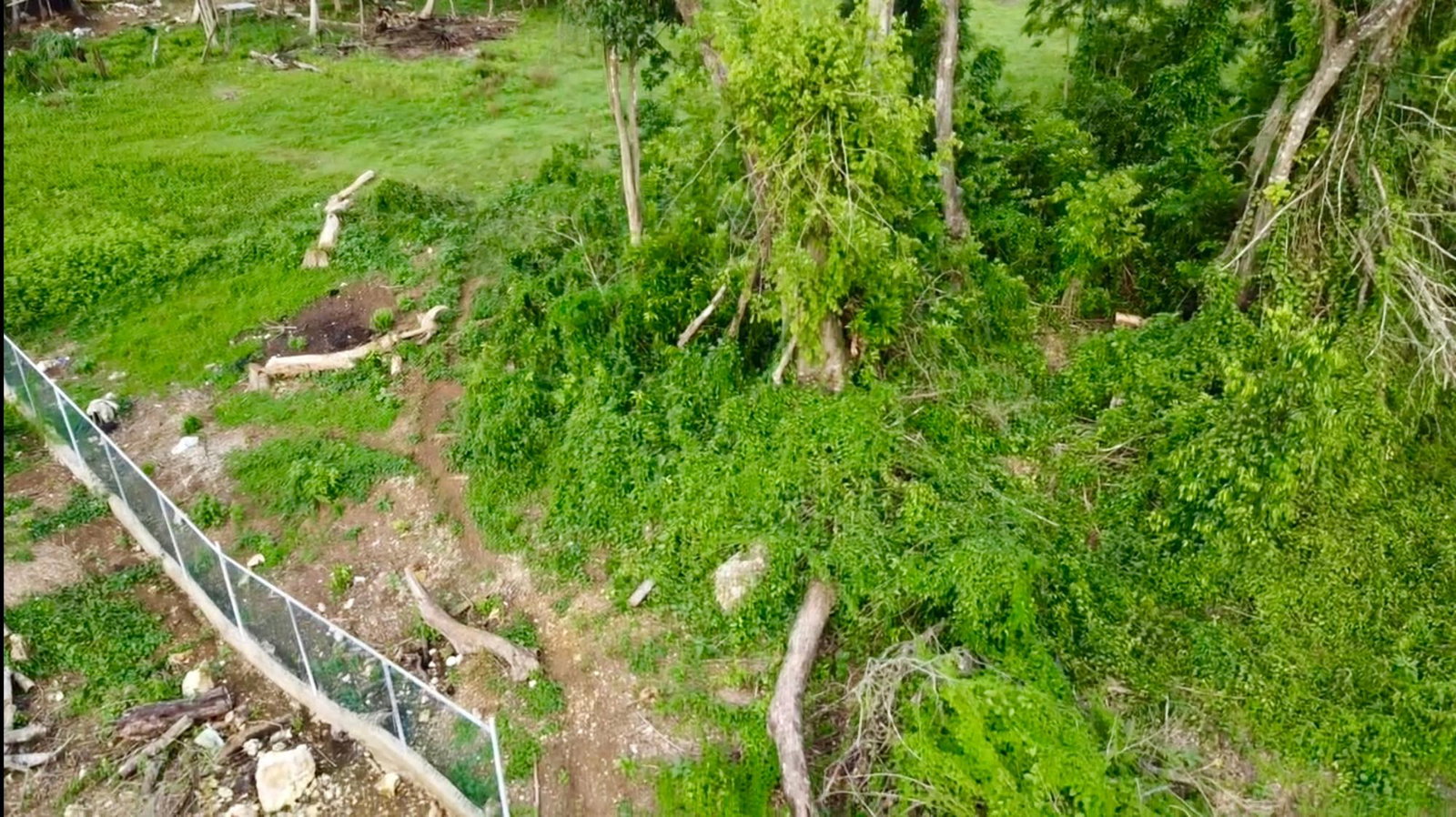 Ninth image of 24 Elim, Bogue P.a. in Elim, St. Elizabeth, Jamaica - property is For Sale