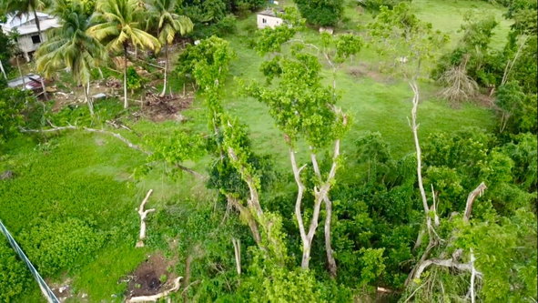 Tenth image of 24 Elim, Bogue P.a. in Elim, St. Elizabeth, Jamaica - property is For Sale