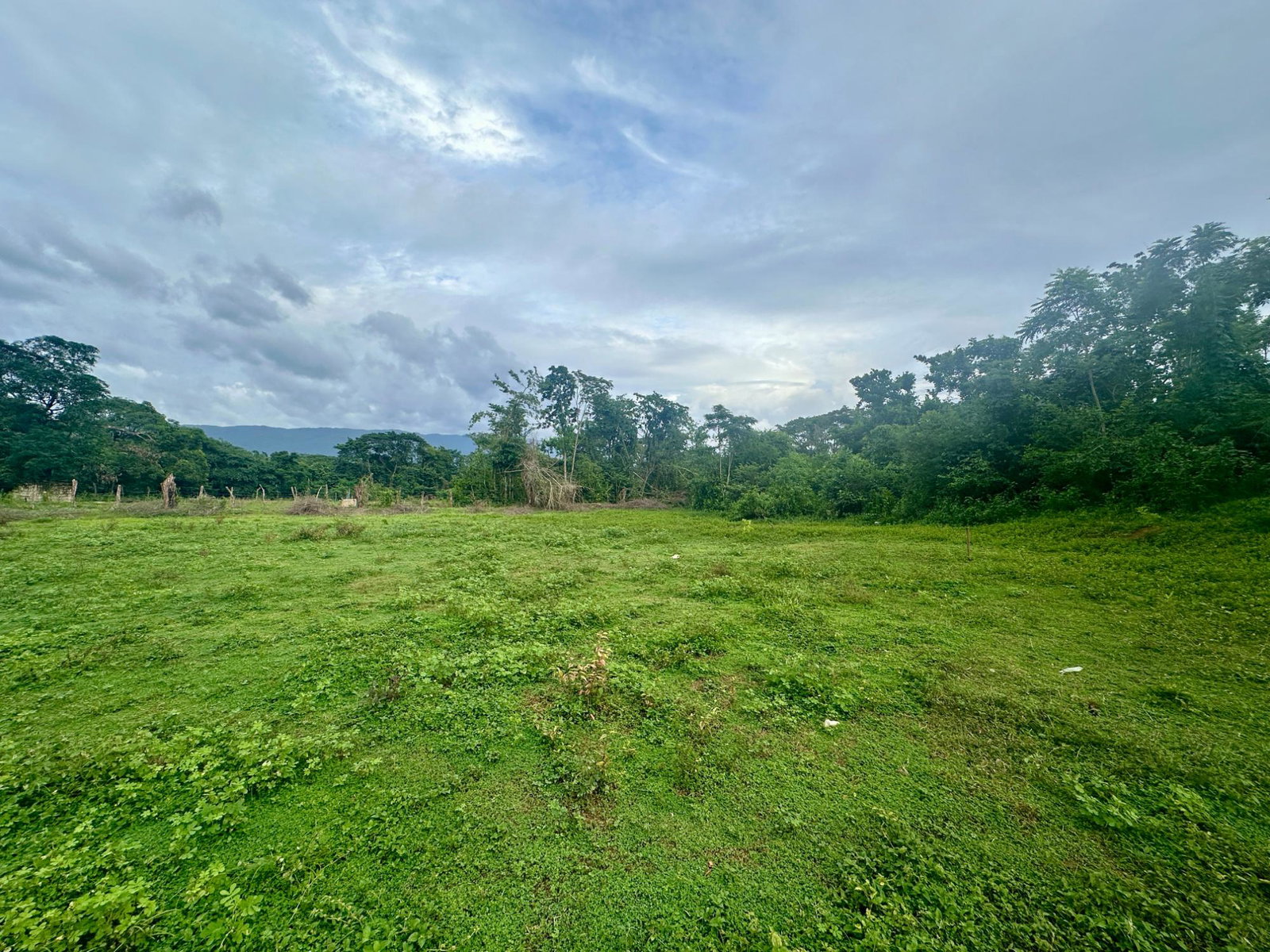Eleventh image of 23 Elim, Bogue P.a. in Elim, St. Elizabeth, Jamaica - property is For Sale