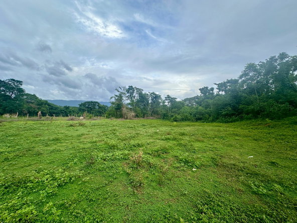 Eleventh image of 23 Elim, Bogue P.a. in Elim, St. Elizabeth, Jamaica - property is For Sale