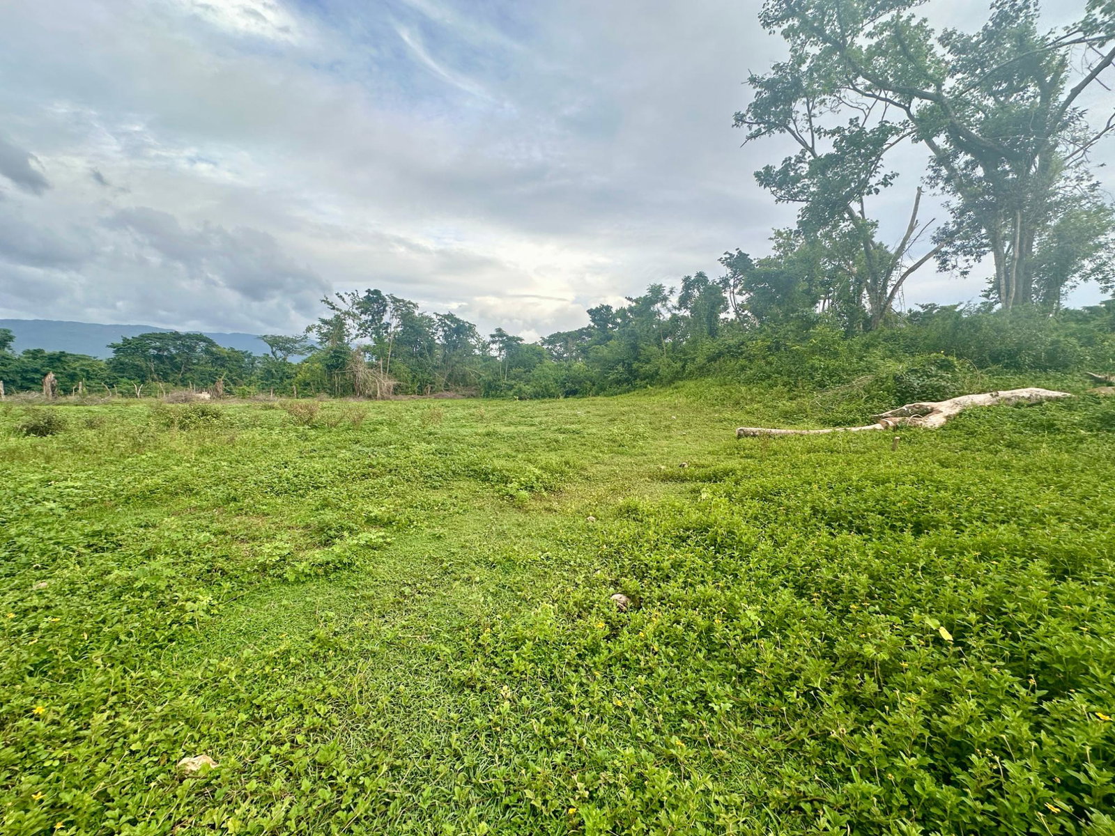 Twelfth image of 23 Elim, Bogue P.a. in Elim, St. Elizabeth, Jamaica - property is For Sale