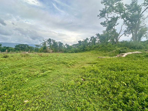 Twelfth image of 23 Elim, Bogue P.a. in Elim, St. Elizabeth, Jamaica - property is For Sale