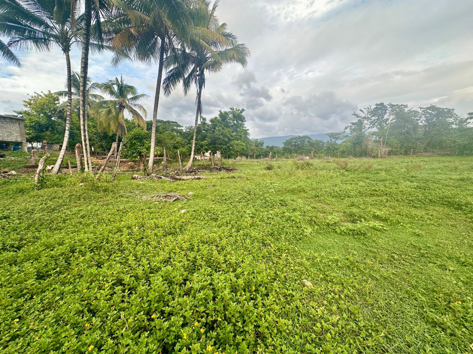 Thirteenth image of 23 Elim, Bogue P.a. in Elim, St. Elizabeth, Jamaica - property is For Sale