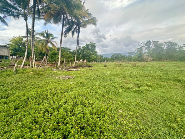 Thirteenth image of 23 Elim, Bogue P.a. in Elim, St. Elizabeth, Jamaica - property is For Sale