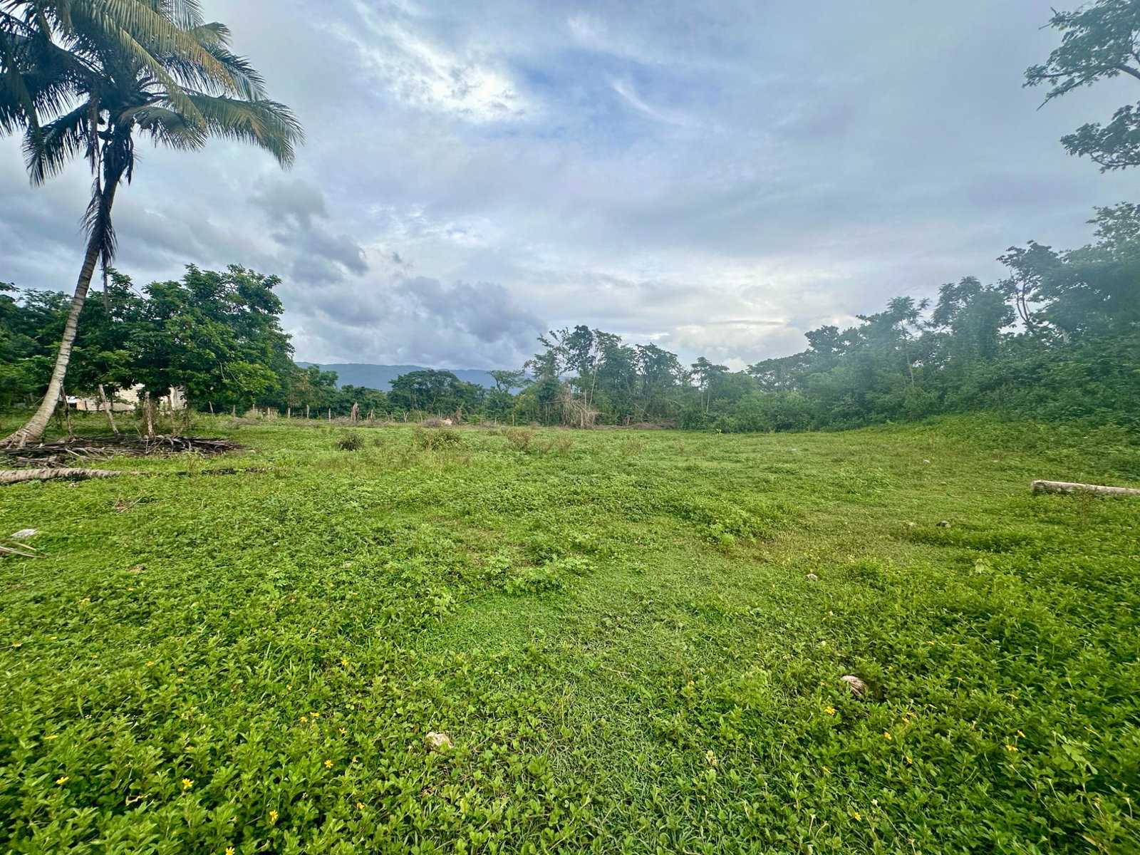 Fourteenth image of 23 Elim, Bogue P.a. in Elim, St. Elizabeth, Jamaica - property is For Sale