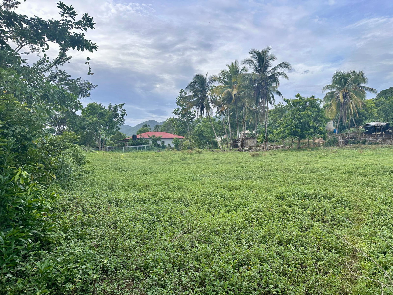 Fifteenth image of 23 Elim, Bogue P.a. in Elim, St. Elizabeth, Jamaica - property is For Sale