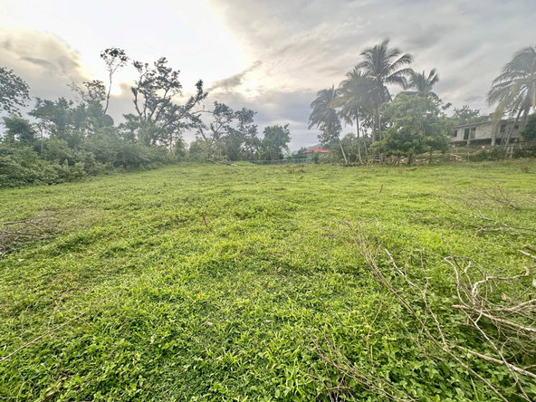 Sixteenth image of 23 Elim, Bogue P.a. in Elim, St. Elizabeth, Jamaica - property is For Sale