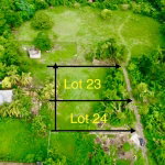 First image of 23 Elim, Bogue P.a. in Elim, St. Elizabeth, Jamaica - property is For Sale