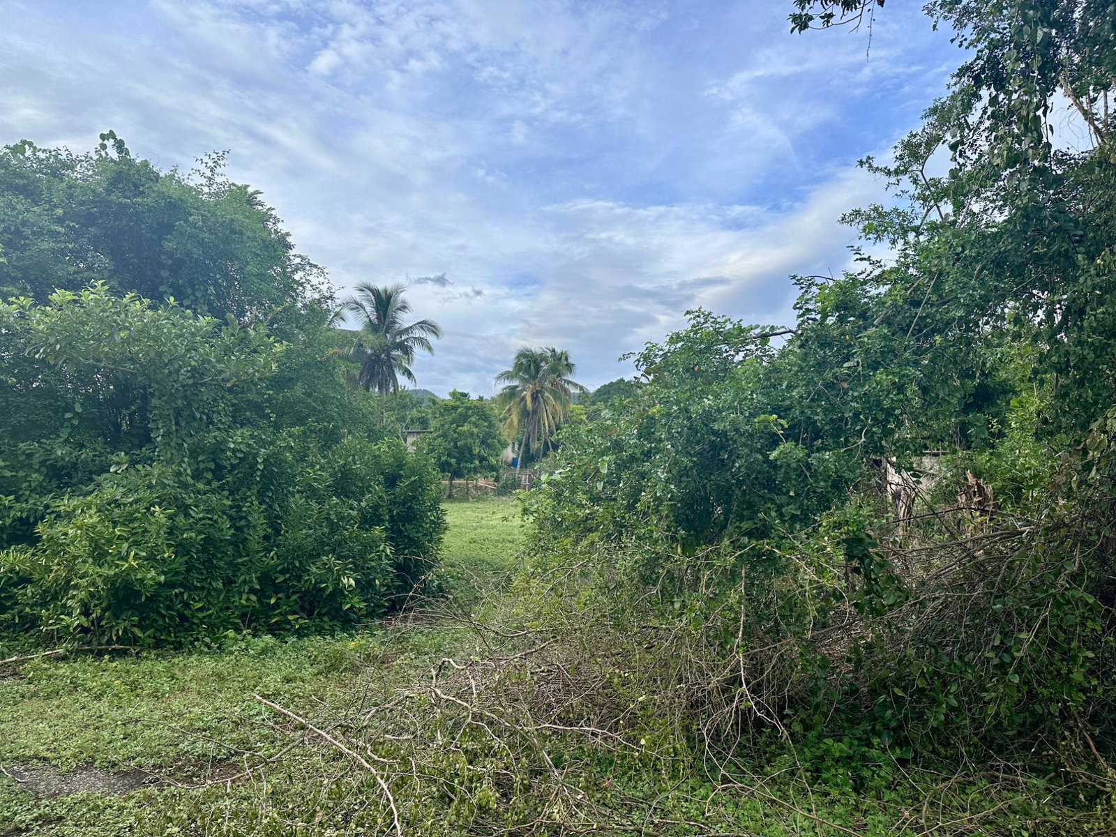 Seventeenth image of 23 Elim, Bogue P.a. in Elim, St. Elizabeth, Jamaica - property is For Sale