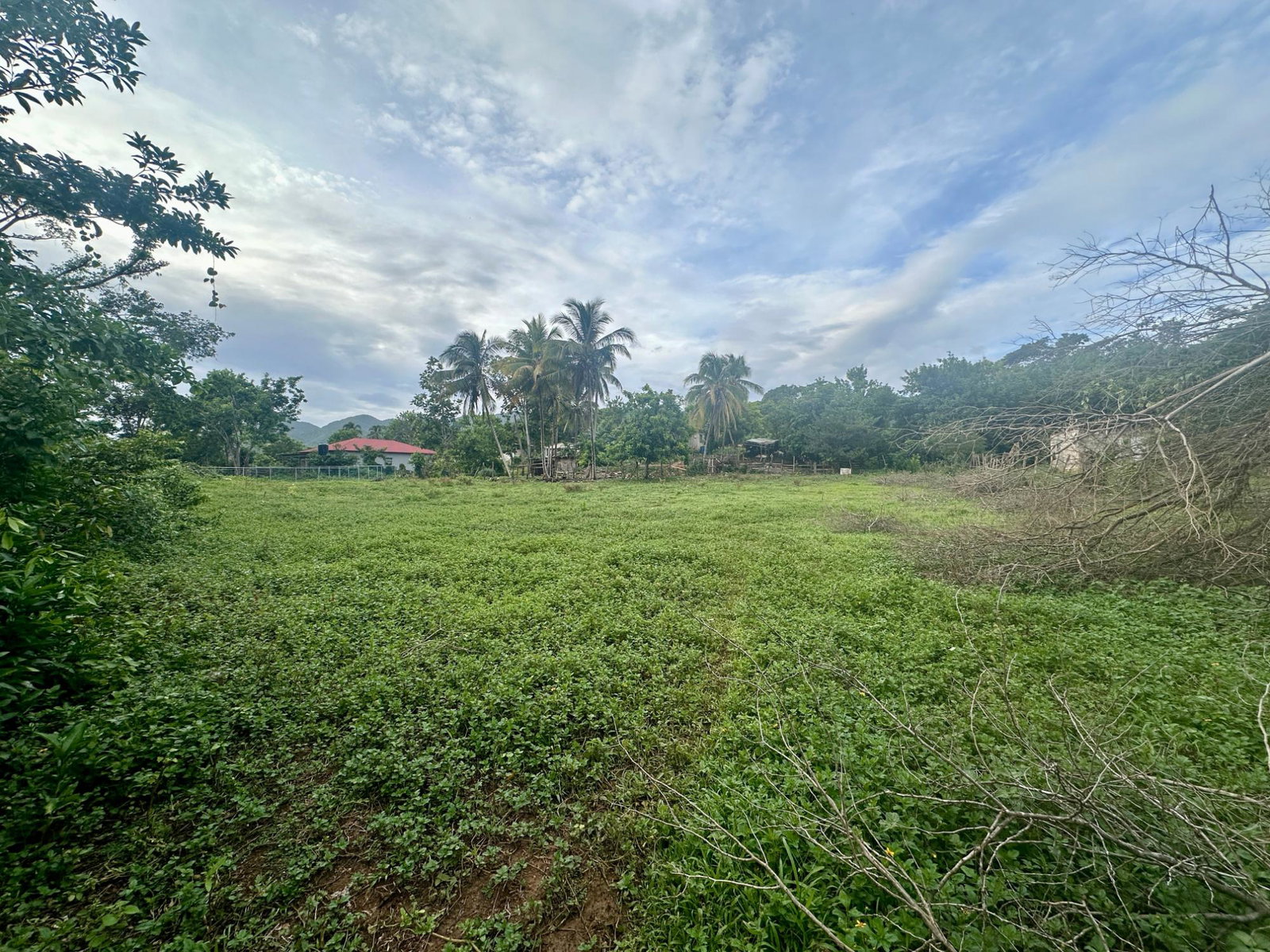 Eighteenth image of 23 Elim, Bogue P.a. in Elim, St. Elizabeth, Jamaica - property is For Sale