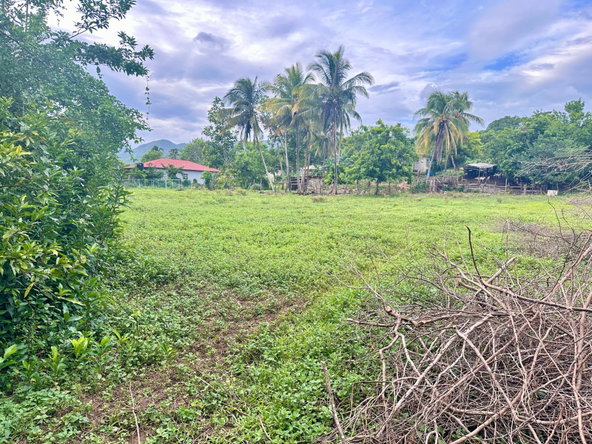 Nineteenth image of 23 Elim, Bogue P.a. in Elim, St. Elizabeth, Jamaica - property is For Sale