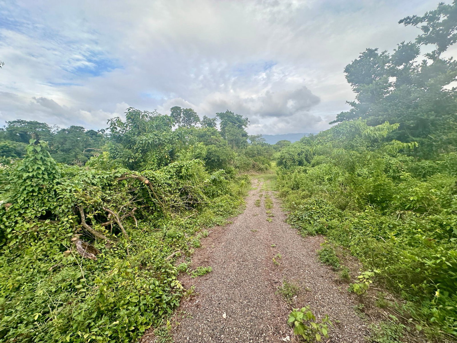 Twentieth image of 23 Elim, Bogue P.a. in Elim, St. Elizabeth, Jamaica - property is For Sale