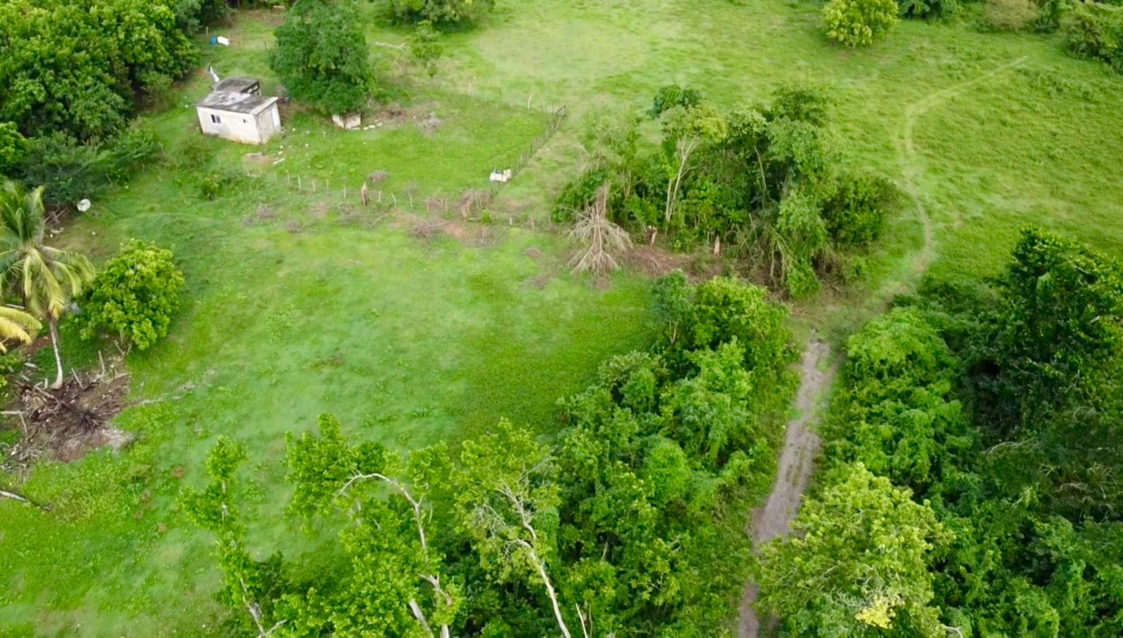 Fifth image of 23 Elim, Bogue P.a. in Elim, St. Elizabeth, Jamaica - property is For Sale