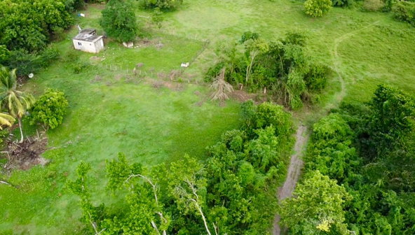Fifth image of 23 Elim, Bogue P.a. in Elim, St. Elizabeth, Jamaica - property is For Sale