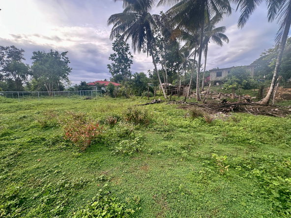 Ninth image of 23 Elim, Bogue P.a. in Elim, St. Elizabeth, Jamaica - property is For Sale