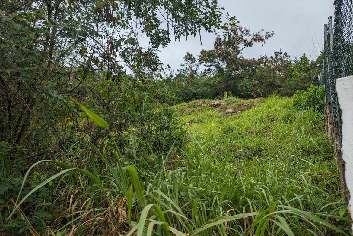 Third image of 158 Belvedere Road in Red Hills, St. Andrew, Jamaica - property is For Sale
