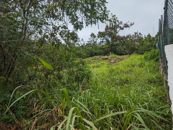 Third image of 158 Belvedere Road in Red Hills, St. Andrew, Jamaica - property is For Sale