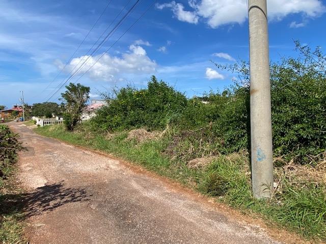 Second image of Barber Green in Bellevue, St. Elizabeth, Jamaica - property is For Sale