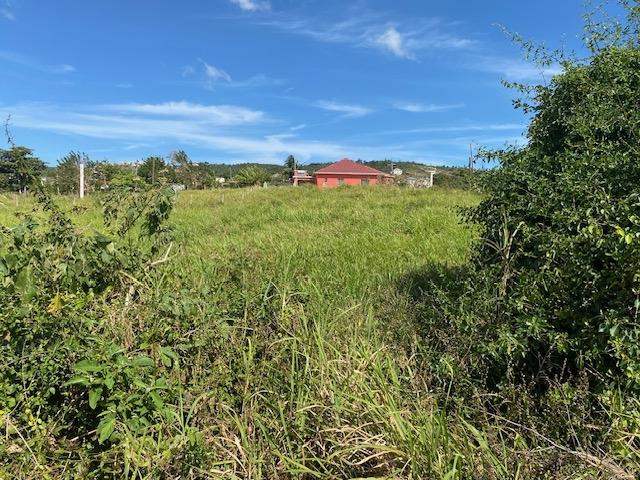 Third image of Barber Green in Bellevue, St. Elizabeth, Jamaica - property is For Sale