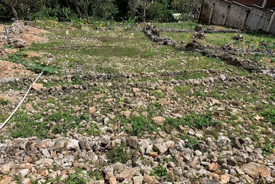 Second image of Lot #11 Boungainvilleae Heights in Knockpatrick, Manchester, Jamaica - property is For Sale
