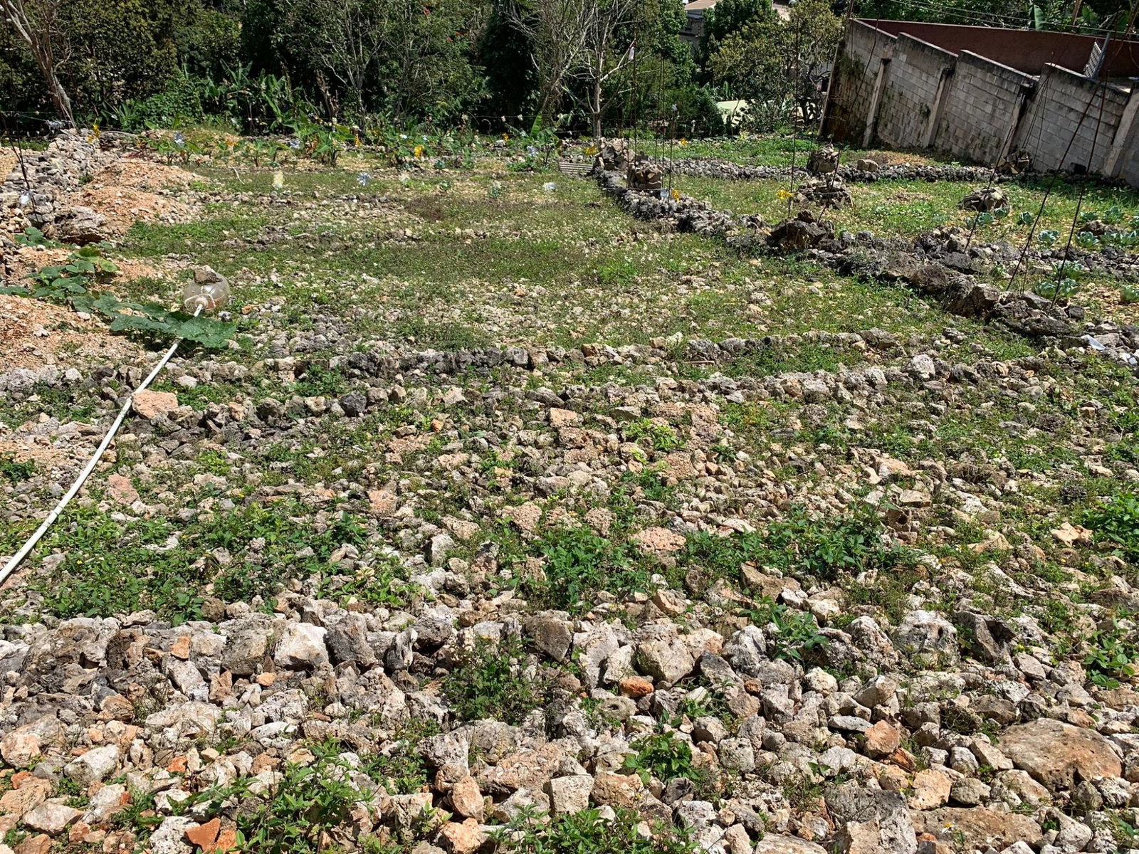 Second image of Lot #11 Boungainvilleae Heights in Knockpatrick, Manchester, Jamaica - property is For Sale