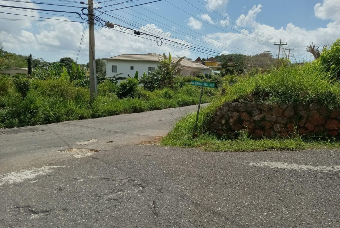 First image of Lot #11 Boungainvilleae Heights in Knockpatrick, Manchester, Jamaica - property is For Sale