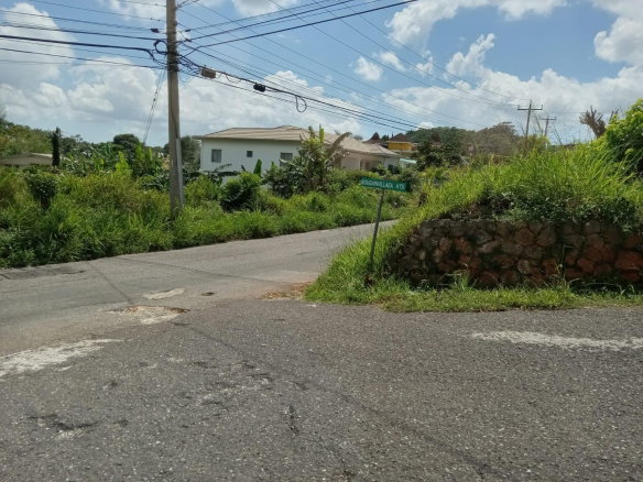 First image of Lot #11 Boungainvilleae Heights in Knockpatrick, Manchester, Jamaica - property is For Sale