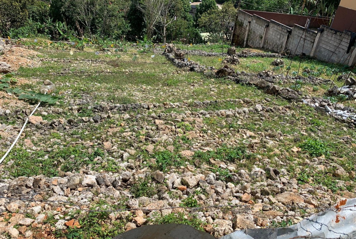 Seventh image of Lot #11 Boungainvilleae Heights in Knockpatrick, Manchester, Jamaica - property is For Sale