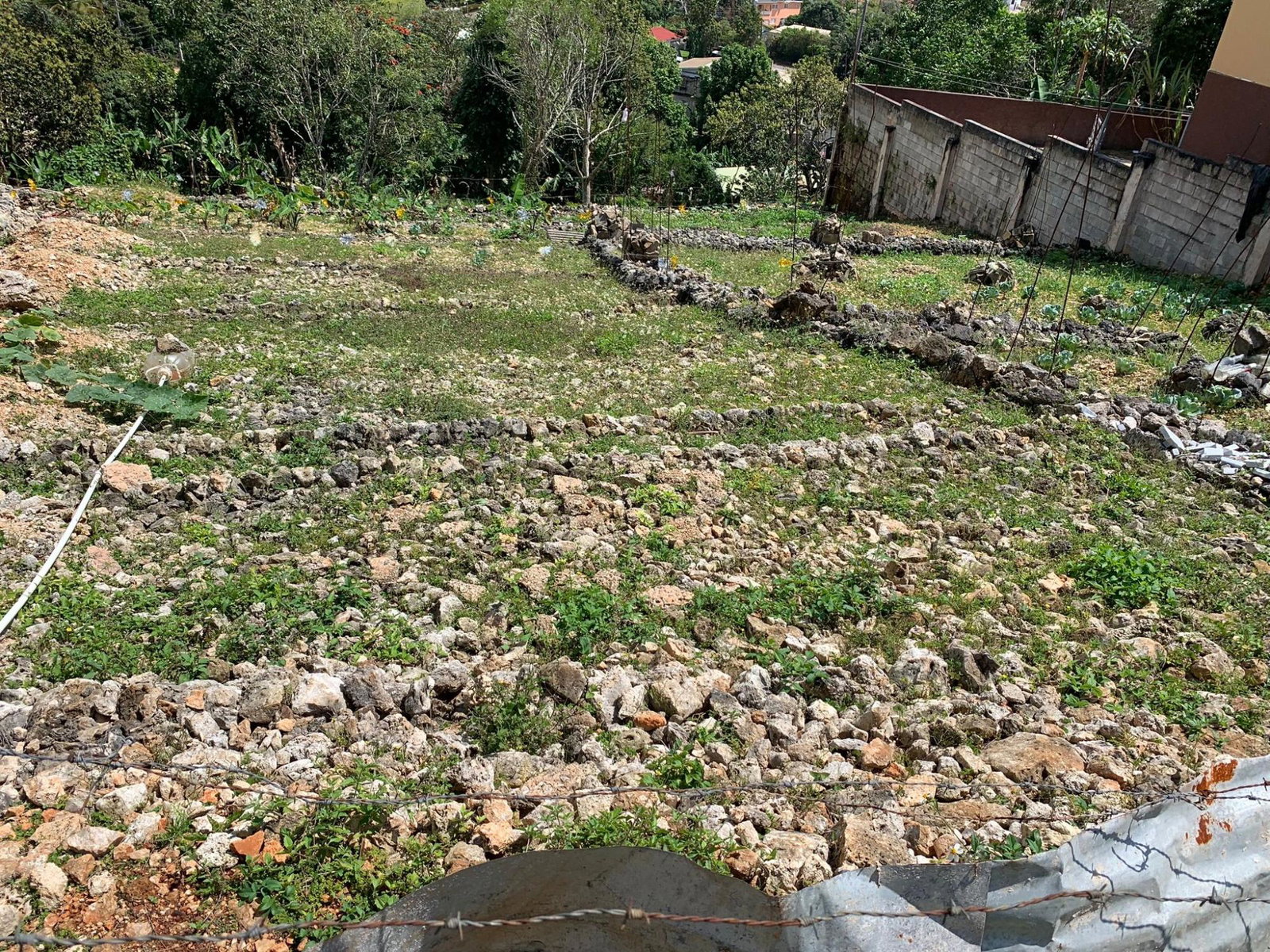 Seventh image of Lot #11 Boungainvilleae Heights in Knockpatrick, Manchester, Jamaica - property is For Sale