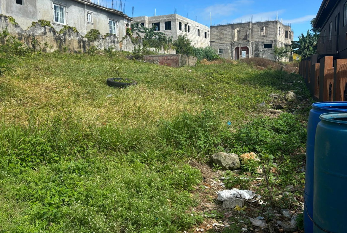 Eleventh image of Lot 9 Chudleigh Housing Scheme, in Christiana, Manchester, Jamaica - property is For Sale