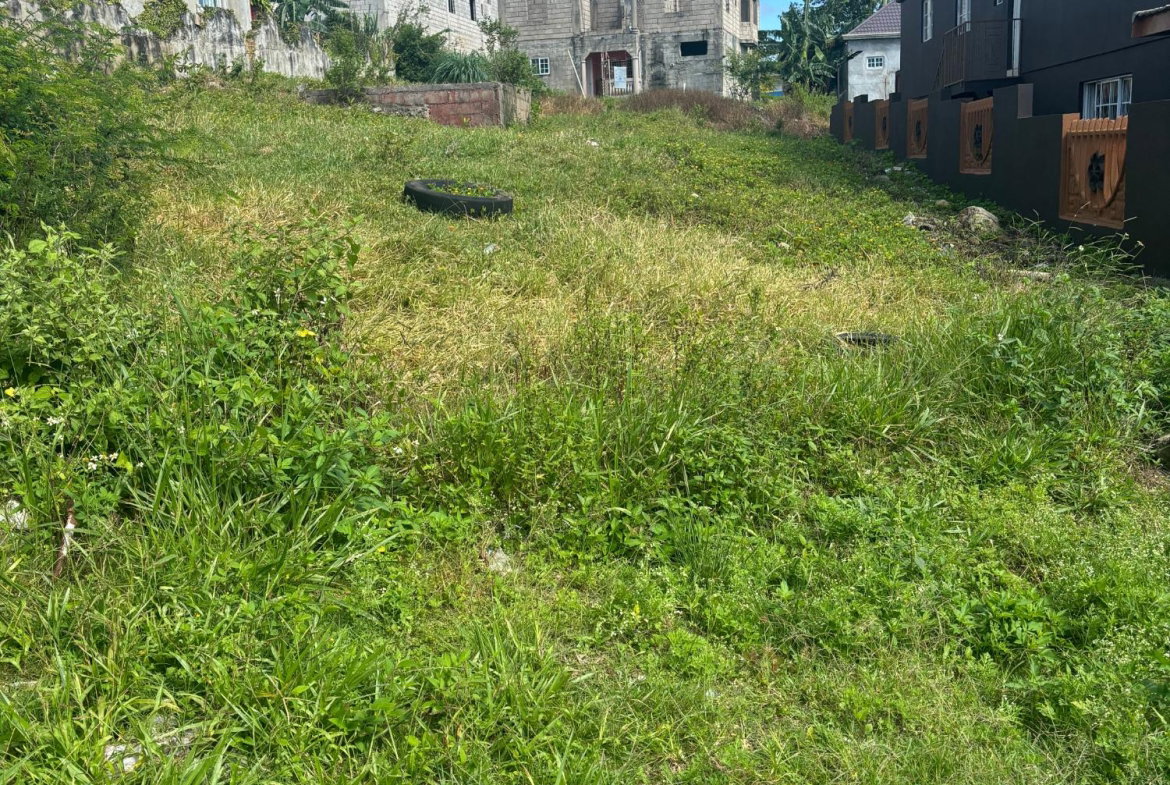 Twelfth image of Lot 9 Chudleigh Housing Scheme, in Christiana, Manchester, Jamaica - property is For Sale