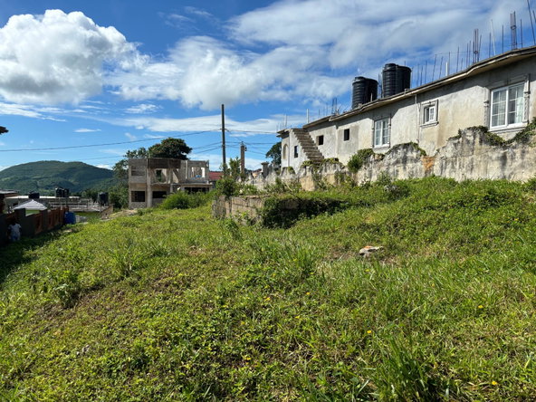 Ninth image of Lot 9 Chudleigh Housing Scheme, in Christiana, Manchester, Jamaica - property is For Sale
