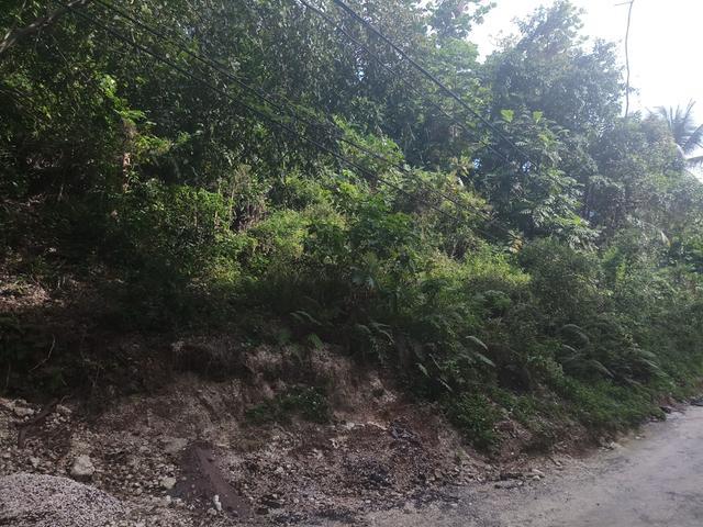 Second image of Spring Gardens, Reading in Reading, St. James, Jamaica - property is For Sale