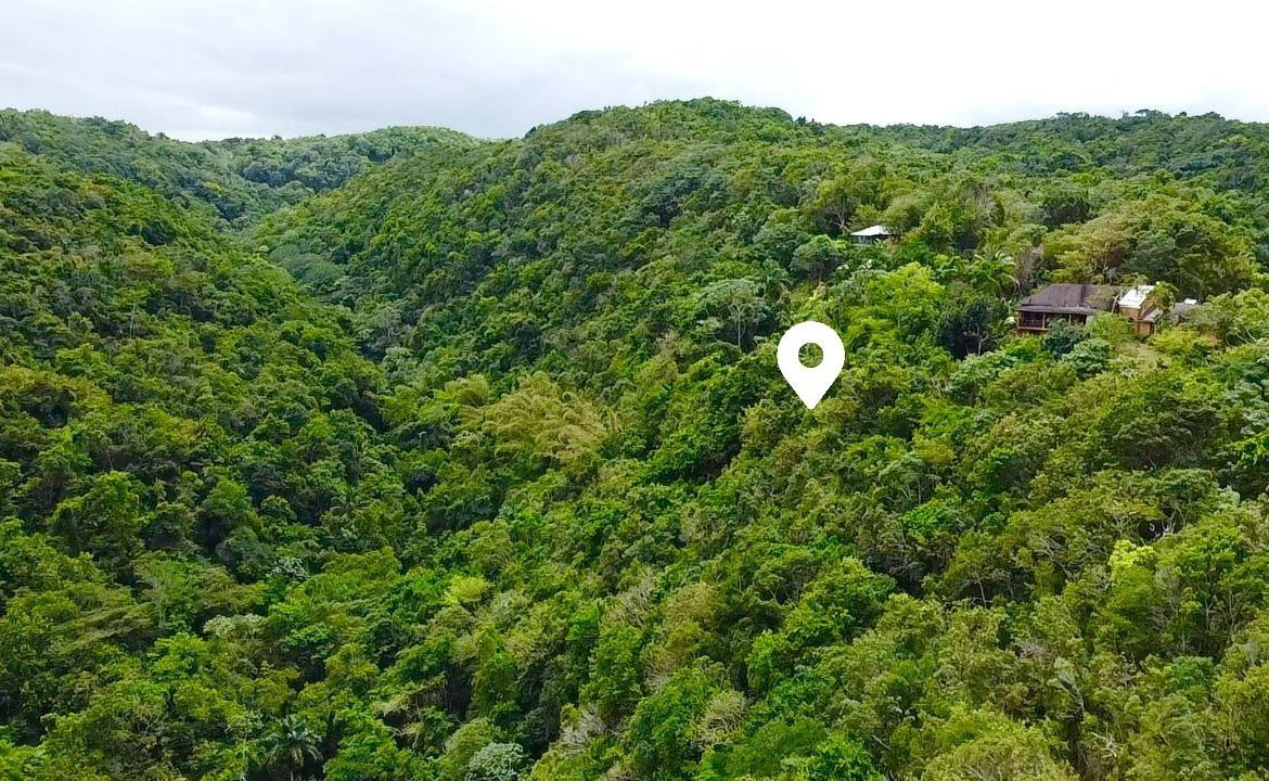 Fourth image of Spring Gardens, Reading in Reading, St. James, Jamaica - property is For Sale