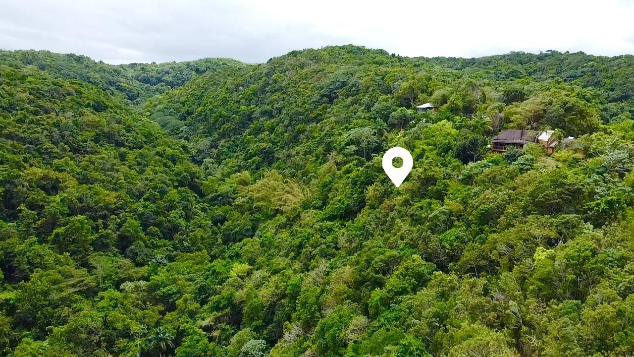 Residential-Lot-for-Sale-in-Clarridge-Hall-St.-James-Jamaica Fourth image of Spring Gardens, Reading in Reading, St. James, Jamaica - property is For Sale