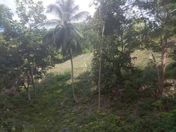 First image of Spring Gardens, Reading in Reading, St. James, Jamaica - property is For Sale