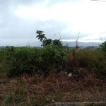 First image of 3087 Nassau Drive, Cornwall co in Cornwall Courts, St. James, Jamaica - property is For Sale