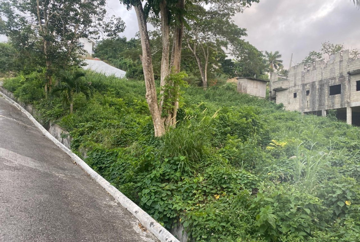 Second image of Lot 607 Orchard Gardens, Hopewell in Hopewell, Hanover, Jamaica - property is For Sale