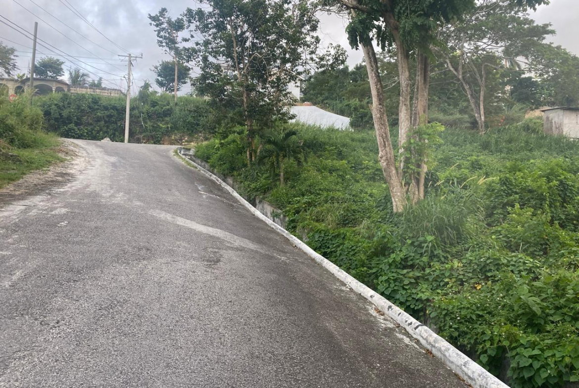 Third image of Lot 607 Orchard Gardens, Hopewell in Hopewell, Hanover, Jamaica - property is For Sale