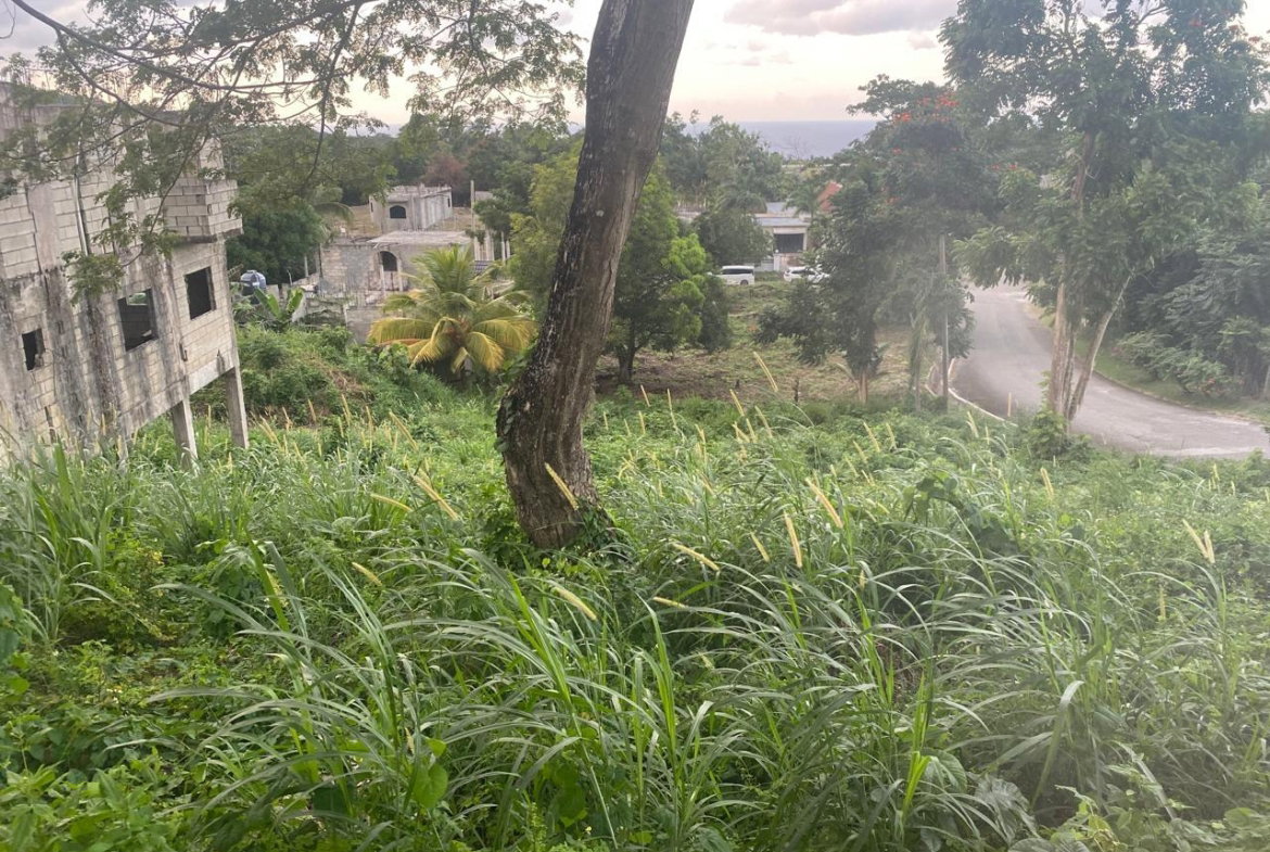 Fourth image of Lot 607 Orchard Gardens, Hopewell in Hopewell, Hanover, Jamaica - property is For Sale