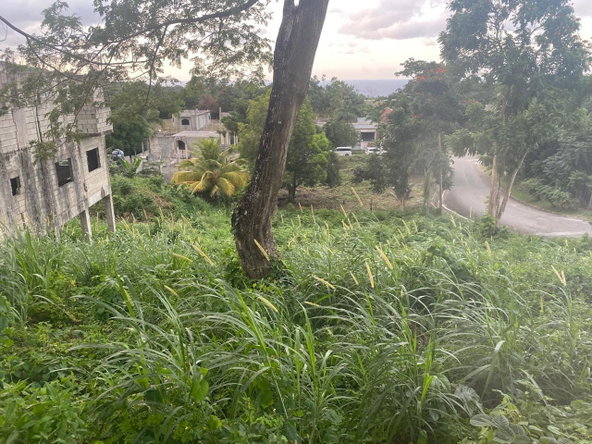 Fourth image of Lot 607 Orchard Gardens, Hopewell in Hopewell, Hanover, Jamaica - property is For Sale
