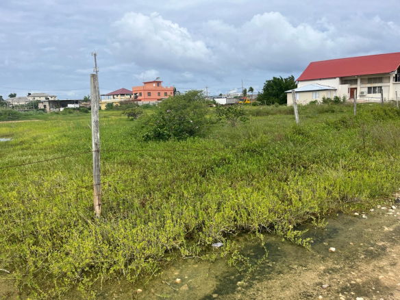 First image of Lot 165- Greenwood, st James in Little River, St. James, Jamaica - property is For Sale