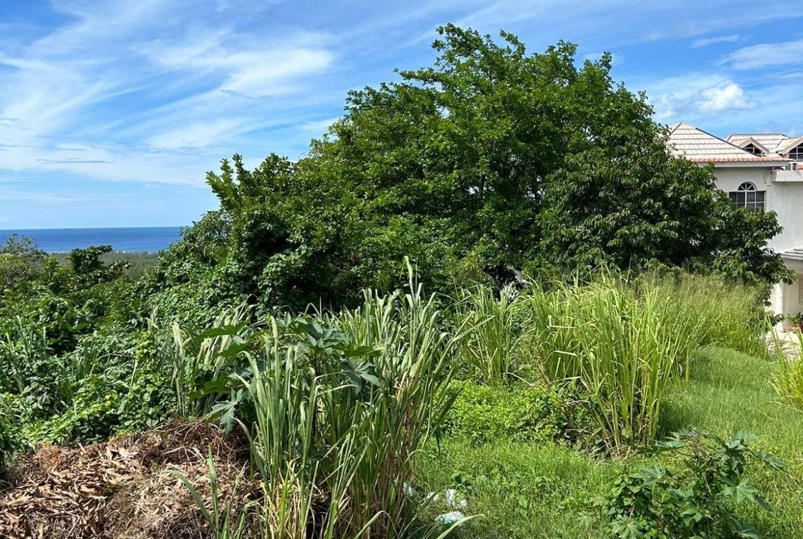 Second image of Red Birch Crescent in Ironshore, St. James, Jamaica - property is For Sale